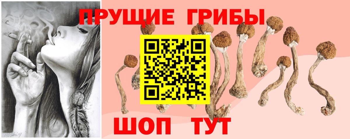 Череповец  Псилоцибиновые грибы Cubensis  Вход с VPN  Галлюциногенные грибы мухоморы 